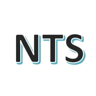 N TECHNOLOGY SERVICES